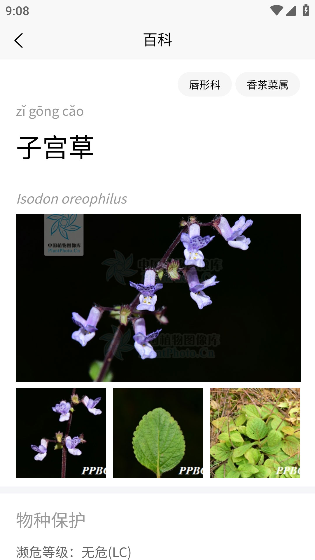 花伴侣专业版截图