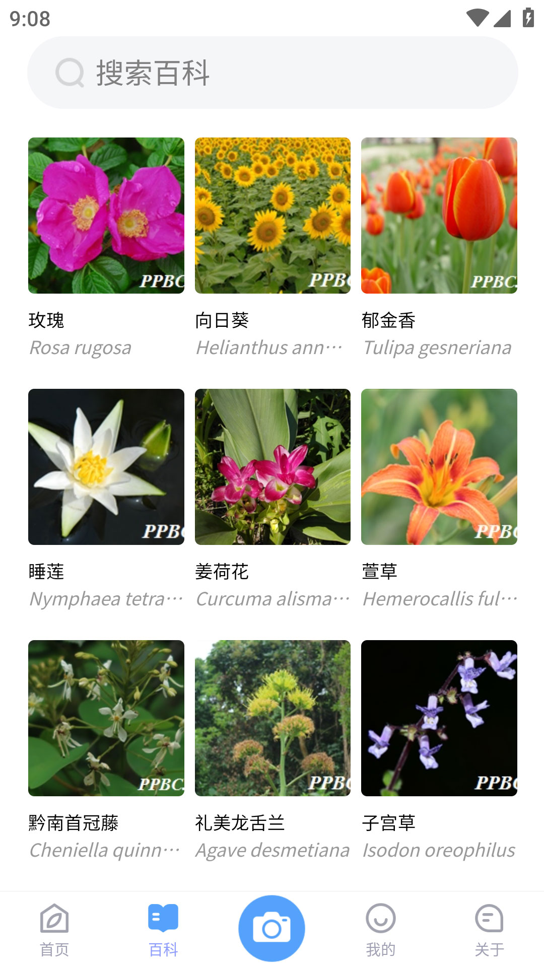 花伴侣专业版截图