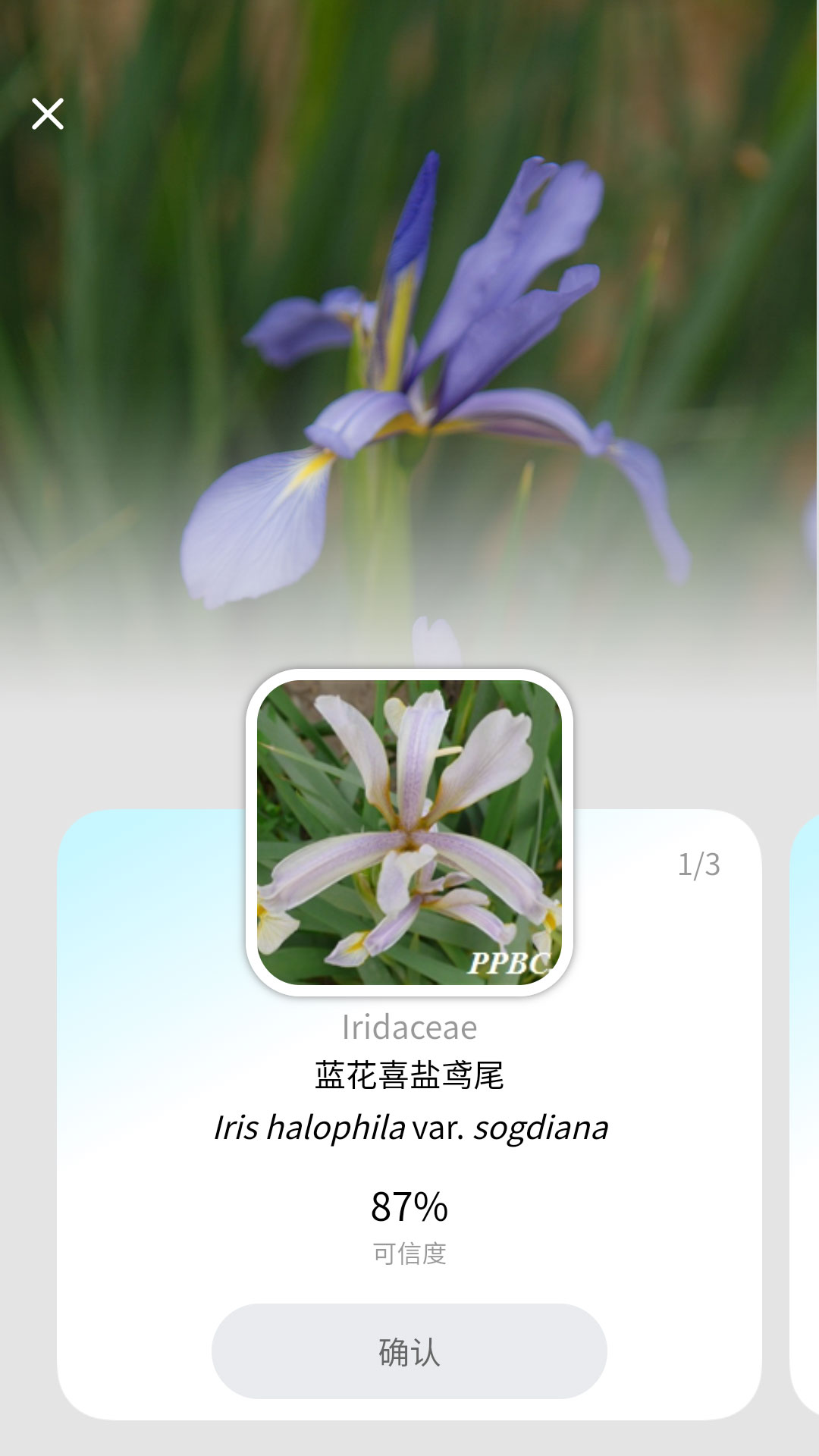 花伴侣专业版截图