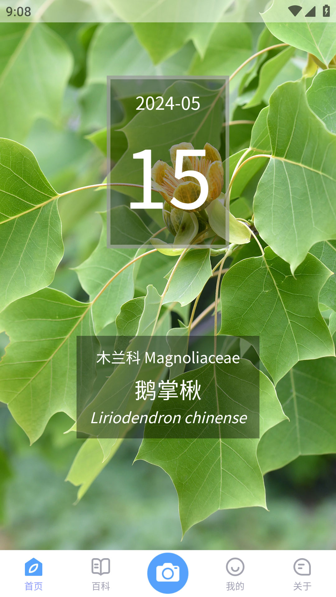 花伴侣专业版截图