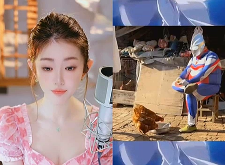 老毕离婚,大量毕家粉丝闯微凉直播间!
