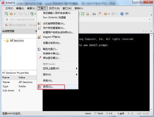 Xmanager截图