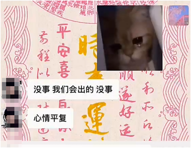 神豪力挺张晚樱,喊话官方:请给我出帝王套