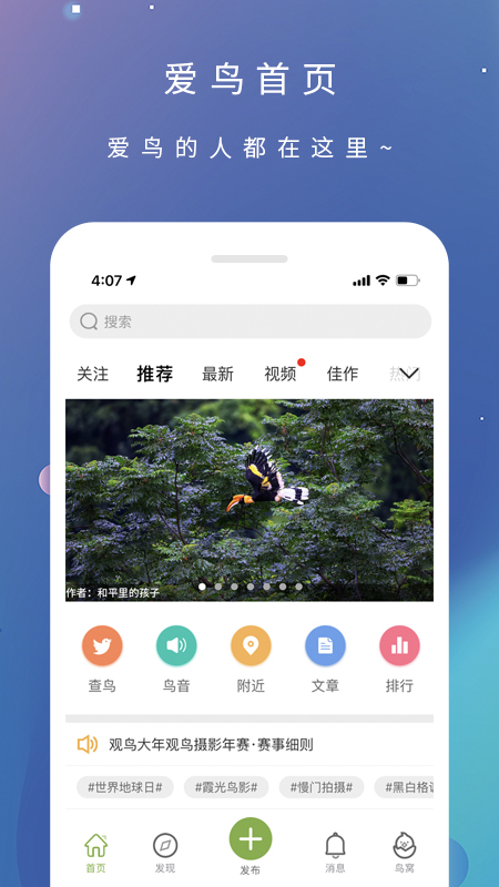 爱鸟截图