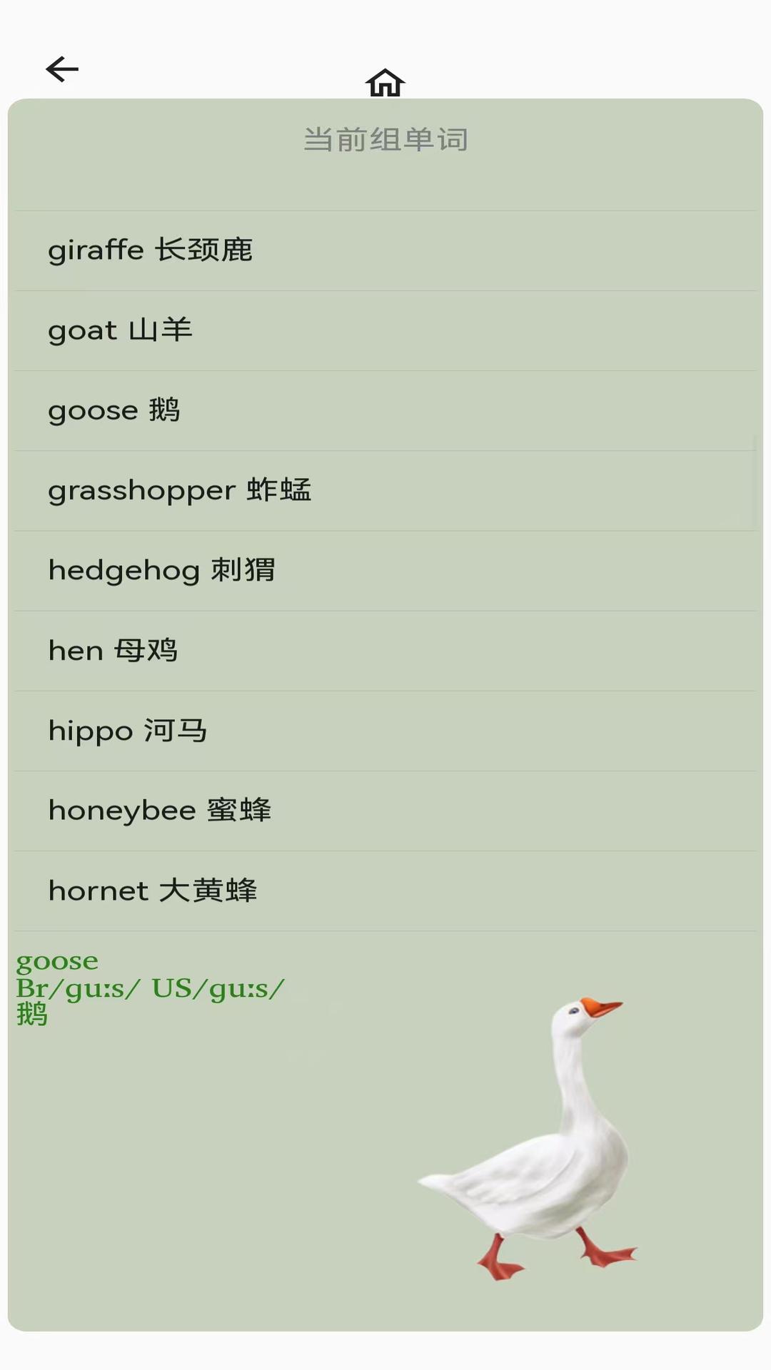 AI说英语截图