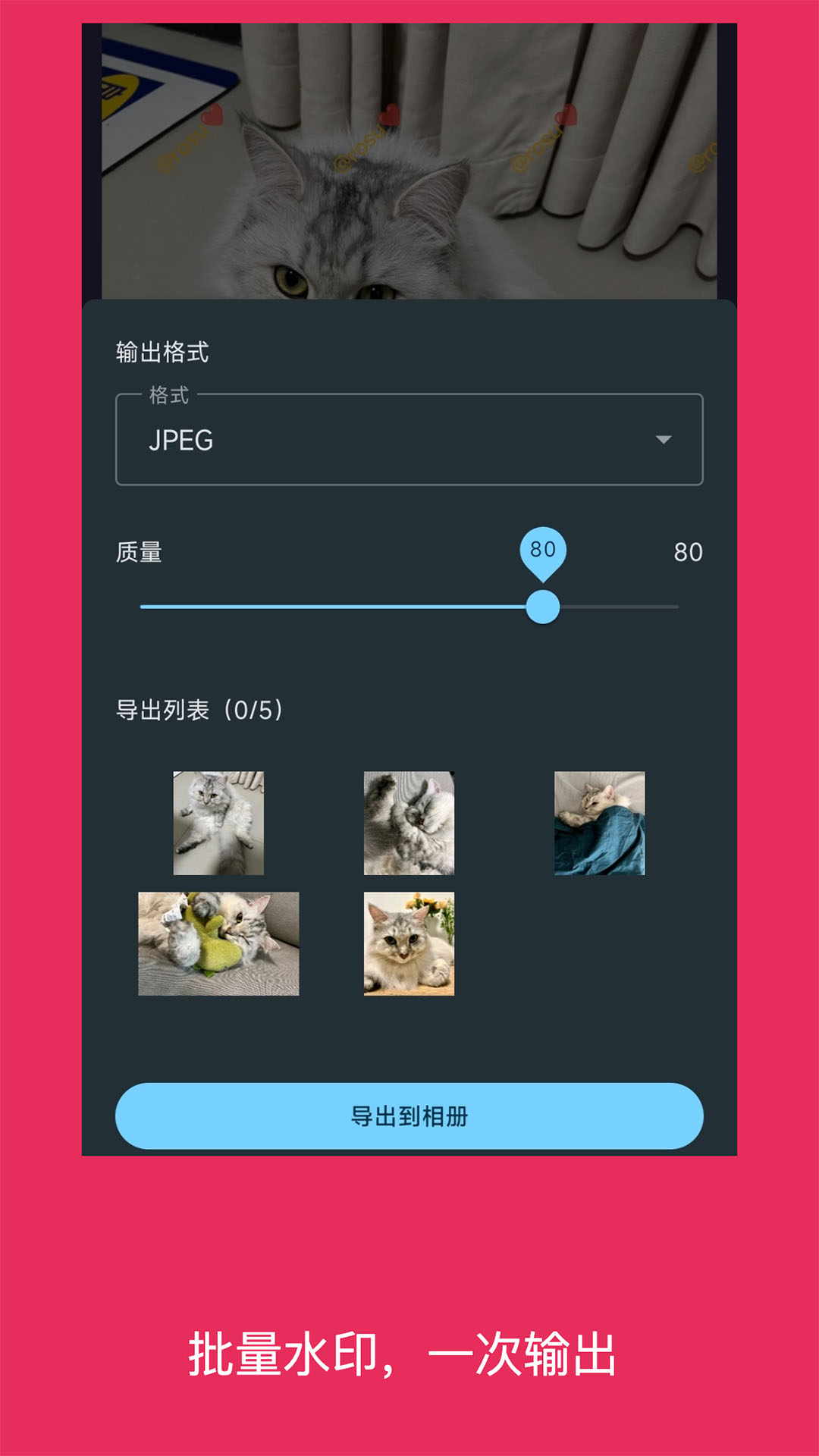 简单水印照片截图