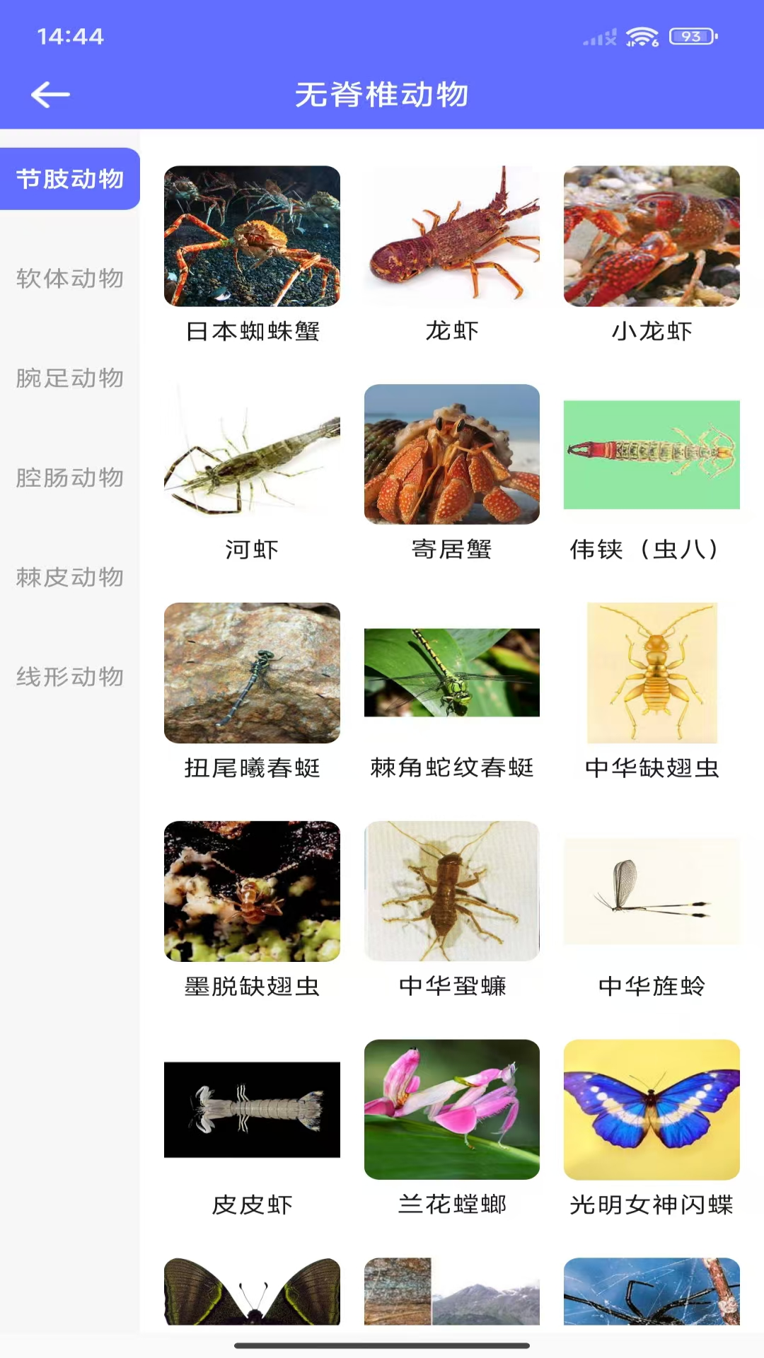 动物拍照识别截图