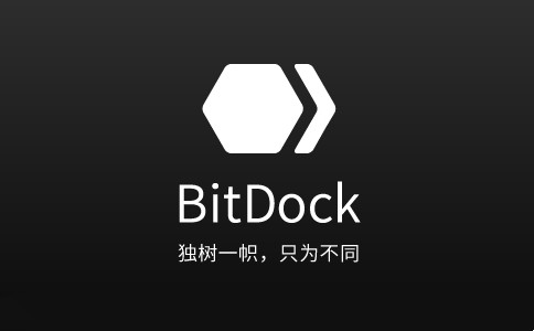 BitDock截图