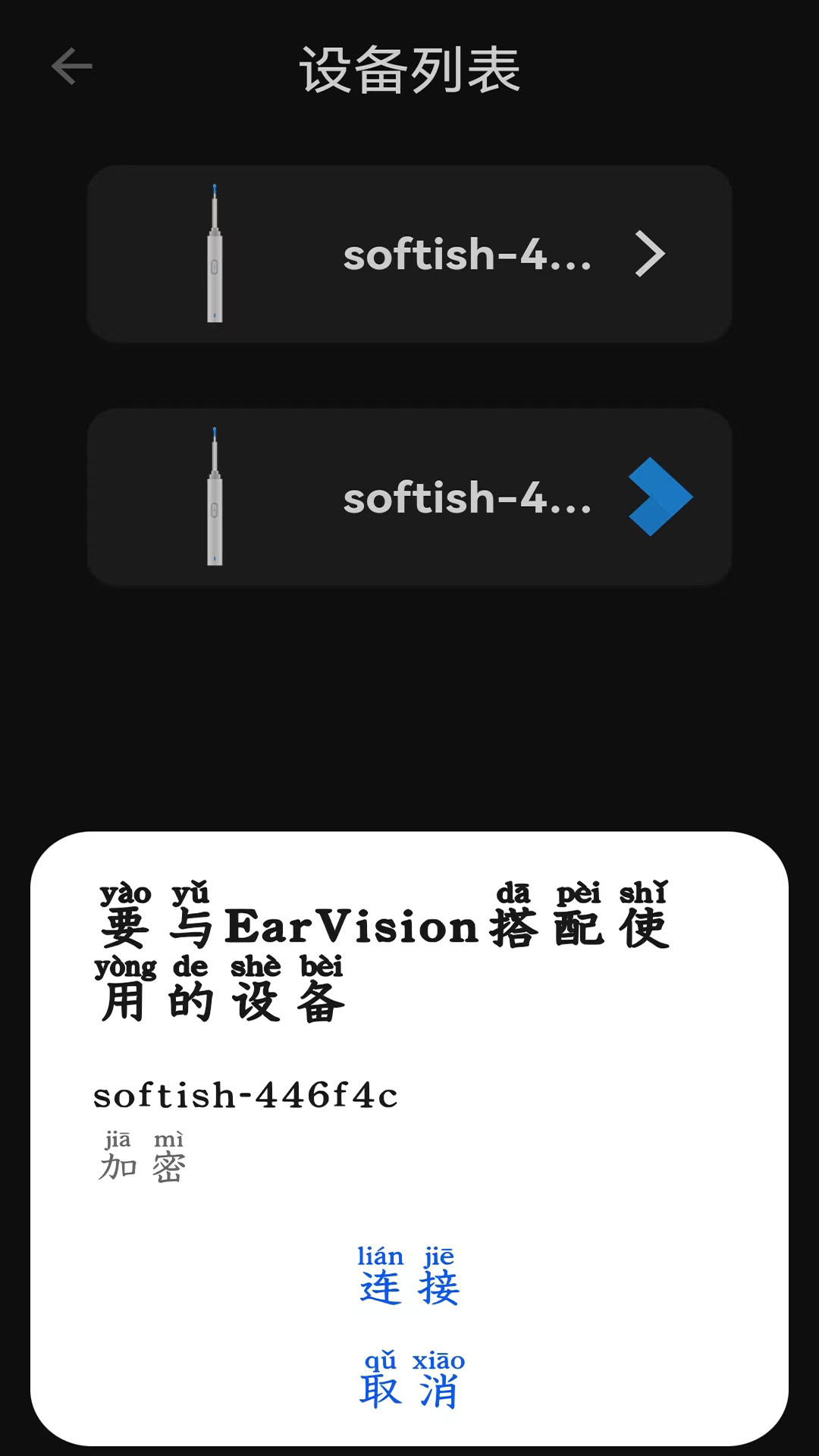 EarVision截图