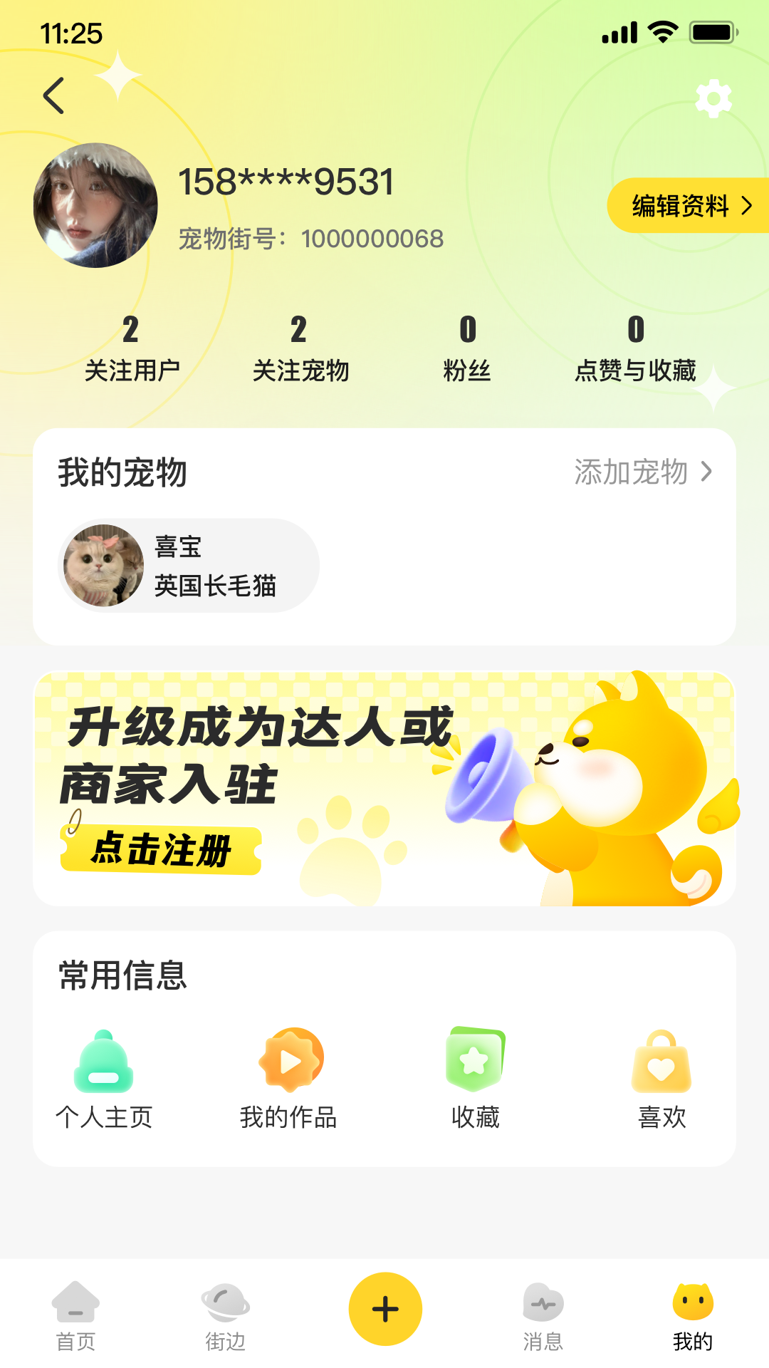 宠物街截图
