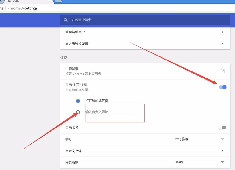谷歌浏览器Google Chrome截图
