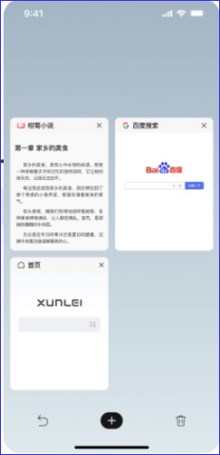 迅雷浏览器截图