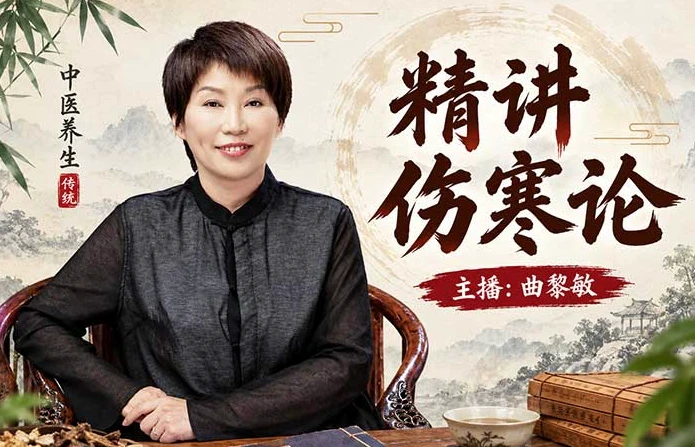 精讲伤寒论