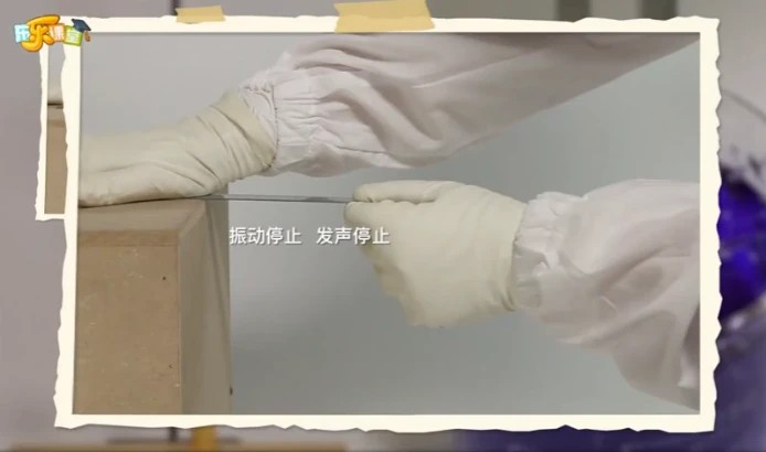 乐乐课堂：小小科学家