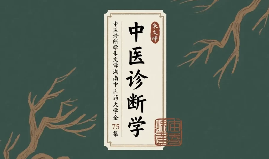 中医诊断学:朱文锋-湖南中医药大学 中医诊断学:朱文锋-湖南中医药大学